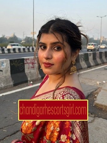 Chandigarh VIP Escort